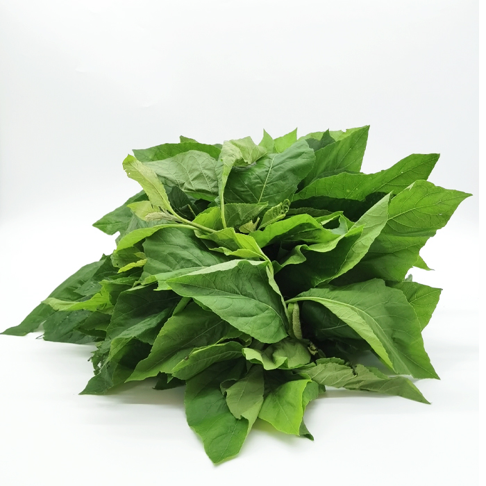 Bitter leaves Gold food africa