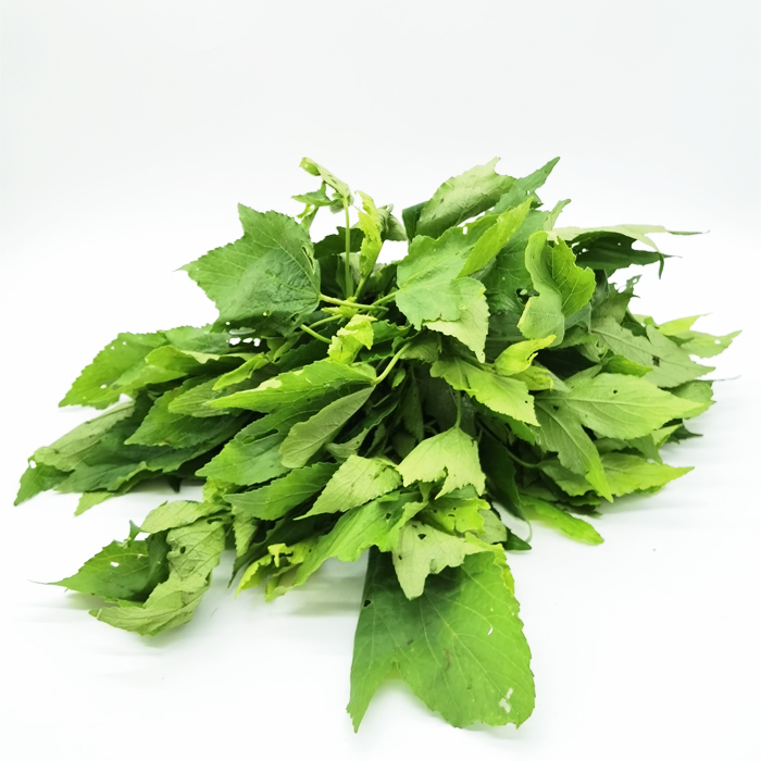 Nyanto - Feuilles d'Oseille frais Gold food Africa